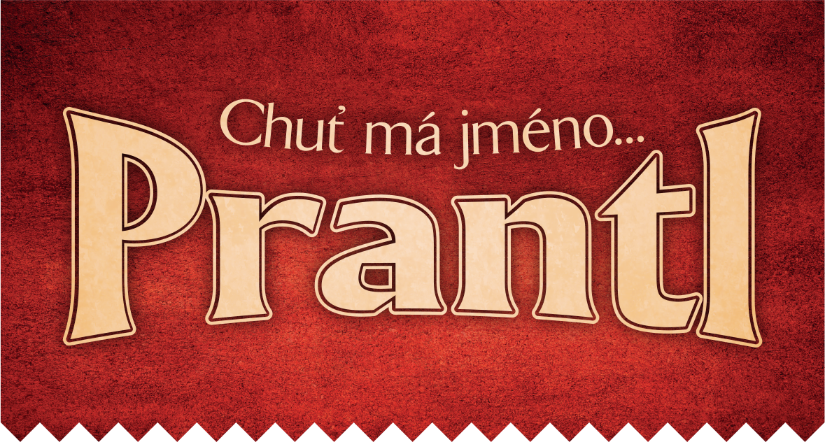 Logo firmy DigiRoute